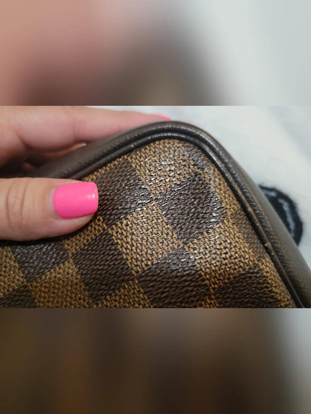 Louis Vuitton trousse pouch